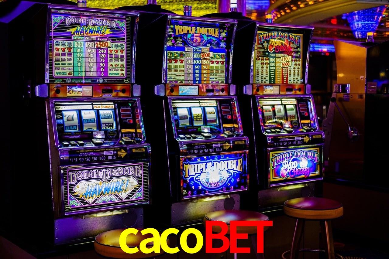 Interface Premium cacobet